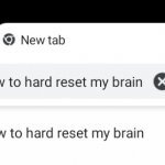 How to hard reset brain meme