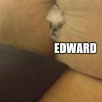 EDWARD. | EDWARD | image tagged in edward,dog,stuck | made w/ Imgflip meme maker