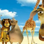 Madagascar giraffe judging