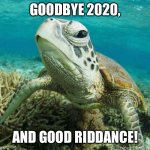 Turtle of Contempt | GOODBYE 2020, AND GOOD RIDDANCE! | image tagged in turtle of contempt | made w/ Imgflip meme maker