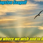 JONATON LIVINGSTON | Jonathan Livingston Seagull; " We're free to go where we wish and to be what we are." | image tagged in jonaton livingston | made w/ Imgflip meme maker