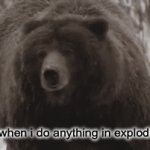 rly tho how she do that | my sister when i do anything in exploding kittens | image tagged in gifs,how about no bear | made w/ Imgflip video-to-gif maker