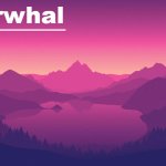 narwhal annoucement temp 8