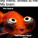 Goldfish Snack | My friend: smiles at me
My brain: | image tagged in creepy goldfish smile | made w/ Imgflip meme maker