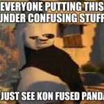 Kon fused panda | EVERYONE PUTTING THIS UNDER CONFUSING STUFF; I JUST SEE KON FUSED PANDA | image tagged in kung fu panda | made w/ Imgflip meme maker