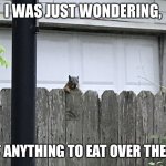 Got some food?? | I WAS JUST WONDERING, GOT ANYTHING TO EAT OVER THERE? | image tagged in got some food | made w/ Imgflip meme maker