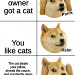 Doge Panik | Your owner got a cat; You like cats; The cat steals your pillow, shreds the couch, and constantly gives you the stink eye for no reason at all | image tagged in doge panik | made w/ Imgflip meme maker