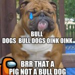 English bull dog | BULL
 DOGS  BULL DOGS OINK OINK; BRR THAT A PIG NOT A BULL DOG | image tagged in english bull dog | made w/ Imgflip meme maker