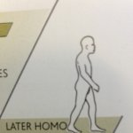 Later Homo