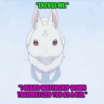 Re:Zero season 2 bunny | "EXCUSE ME."; "I HEARD WATERSHIP DOWN TRAUMATIZED YOU AS A KID." | image tagged in re zero season 2 bunny | made w/ Imgflip meme maker