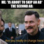 Ads, prepare to have a full-on blown tantrum | ME: *IS ABOUT TO SKIP AN AD*
THE SECOND AD: | image tagged in are you really in charge here,ads,skipping ads,nooo | made w/ Imgflip meme maker
