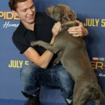 tom holland with his dog