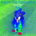 bacon the porcupine