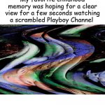 playboy television nostalgia | image tagged in playboy television nostalgia | made w/ Imgflip meme maker