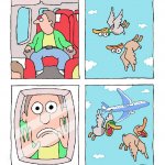 prank bords