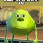 Just a BFB Meme. | RUBY: GET DIGGING BIG BOY.
SNOWBALL: DON'T CALL ME BIG BOY.
RUBY: | image tagged in mike with sully's face | made w/ Imgflip meme maker