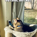 Cat on phone | HE SHOULD BE OUTSIDE, BUT NO... HE’S ON HIS PHONE | image tagged in cat on phone | made w/ Imgflip meme maker