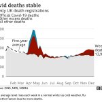 Excess death rate to Dec 2020