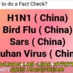 The Wuhan Lab-Leak Hypothesis Goes Mainstream | THE WUHAN LAB-LEAK HYPOTHESIS
GOES MAINSTREAM | image tagged in wuhanic | made w/ Imgflip meme maker