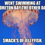 After telling my coworker what a group of jellyfish was called | WENT SWIMMING AT MORETON BAY THE OTHER DAY. SMACK'S OF JELLYFISH. | image tagged in jellyfish | made w/ Imgflip meme maker