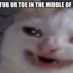 why u reading the caption tf | WHEN U STUB UR TOE IN THE MIDDLE OF THE NIGHT | image tagged in cancer cat,mood,bruh | made w/ Imgflip meme maker