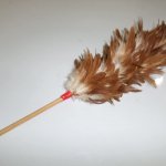 Chicken feather duster