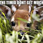 Timidity | THE TIMID DONT GET MUCH | image tagged in timid deer,timiddeer | made w/ Imgflip meme maker