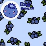 Blueberry ebug