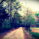 Vintage driveway