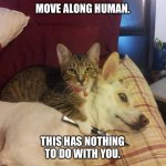 cat, dog & knife | MOVE ALONG HUMAN. THIS HAS NOTHING TO DO WITH YOU. | image tagged in cat dog knife | made w/ Imgflip meme maker