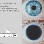 Eye pupil expand | 69 DOWNVOTES | image tagged in eye pupil expand,memes,gifs,pie charts,ha ha tags go brr | made w/ Imgflip meme maker