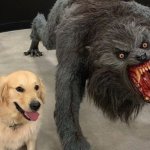 Dog vs Werewolf meme
