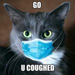 catvid cat | GO; U COUGHED | image tagged in catvid cat | made w/ Imgflip meme maker