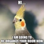 birb | HI..... I AM GOING TO RE-ORGANIZE YOUR ROOM NOW | image tagged in birb | made w/ Imgflip meme maker