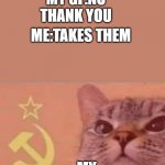 Communist cat | ME:DO YOU WANT FRIES MY GF:NO THANK YOU ME:TAKES THEM MY GF:OUR FRIES | image tagged in communist cat | made w/ Imgflip meme maker