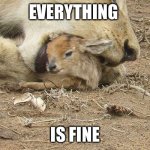 Oh no | EVERYTHING; IS FINE | image tagged in everything is fine | made w/ Imgflip meme maker