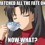 now what? | I HAVE WATCHED ALL THE FATE ON NETFLIX; NOW WHAT? | image tagged in memes | made w/ Imgflip meme maker
