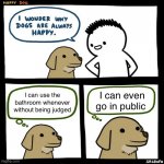SrGrafo Happy Dog | I can use the bathroom whenever without being judged; I can even go in public | image tagged in srgrafo happy dog | made w/ Imgflip meme maker