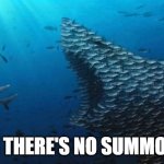 Preparation in Any RPG | WHEN THERE'S NO SUMMON CAP | image tagged in fish teamwork | made w/ Imgflip meme maker
