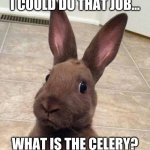 Rabbit Is Ready To Work | I COULD DO THAT JOB... WHAT IS THE CELERY? | image tagged in really rabbit,rabbit,job,celery,work,cute animal | made w/ Imgflip meme maker