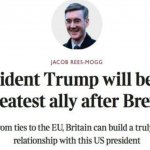 Trump Rees Mogg