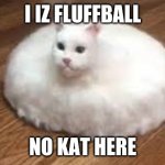 flooffball | I IZ FLUFFBALL; NO KAT HERE | image tagged in flooffball | made w/ Imgflip meme maker