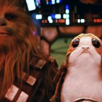 Chewbacca And A Porg meme