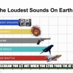 Loudest things | THE SCREAM YOU LET OUT WHEN YOU STUB YOUR TOE AT 3 AM | image tagged in loudest things,memes | made w/ Imgflip meme maker