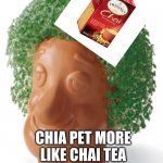 Chia | CHIA PET MORE LIKE CHAI TEA | image tagged in chia | made w/ Imgflip meme maker