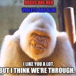 My dearest, | ROSES ARE RED; VIOLETS ARE BLUE; I LIKE YOU A LOT, BUT I THINK WE'RE THROUGH. | image tagged in roast too hard,oof,wasted | made w/ Imgflip meme maker