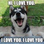 Dog Love | HI. I LOVE YOU. I LOVE YOU. I LOVE YOU | image tagged in happy doggo,dog,i love you | made w/ Imgflip meme maker