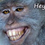Clubbing in the Jungle | Hey babe | image tagged in grinning monkey,flirting,monkey | made w/ Imgflip meme maker
