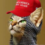 Trump Wills It cat