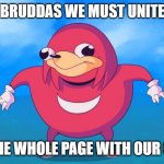 Uganda Knuckles | BRUDDAS WE MUST UNITE; FILL THE WHOLE PAGE WITH OUR QUEEN | image tagged in uganda knuckles | made w/ Imgflip meme maker